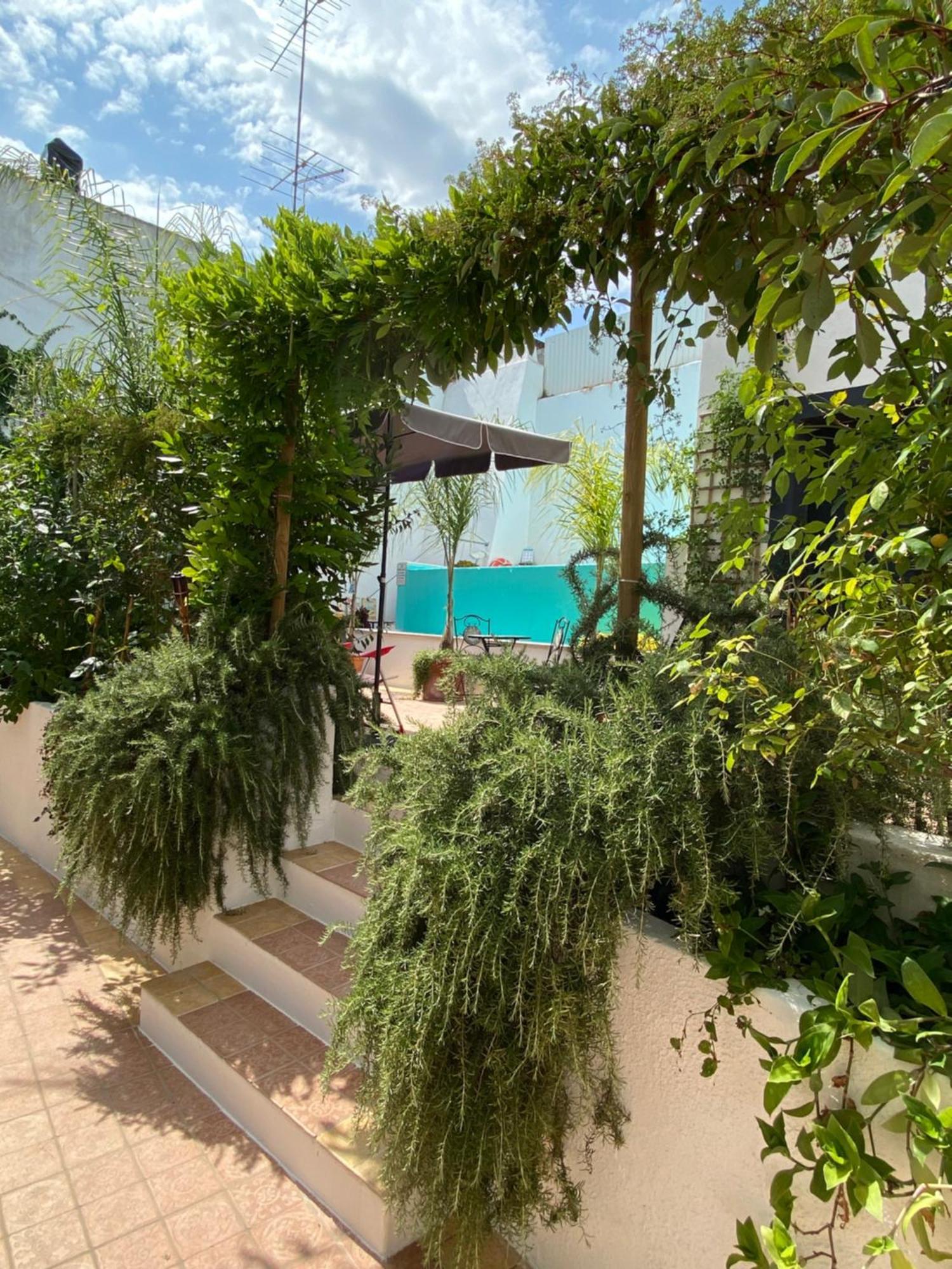 Patio Da Villa - Coruche Boutique Guest House المظهر الخارجي الصورة